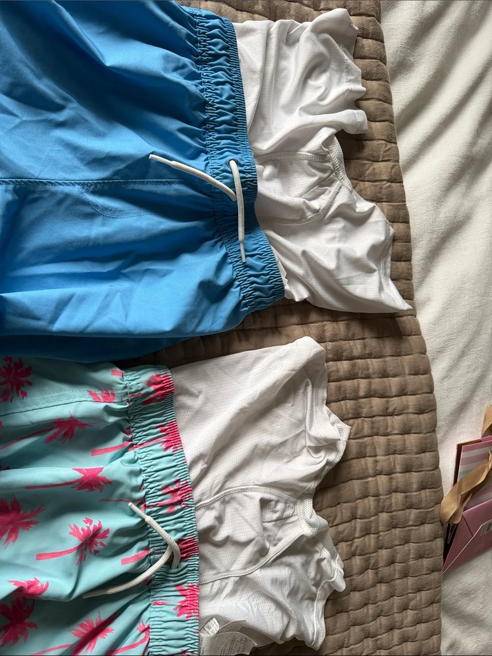Abercrombie & Fitch Boys Blue Striped and Aqua Pink Palm Swim Trunks
